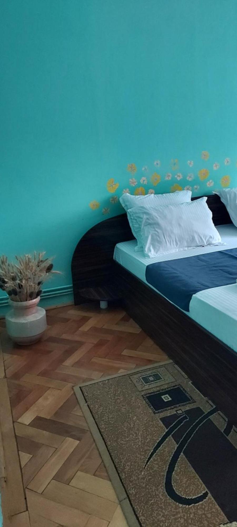 Apartament Gara Mica Apartment Arad Bagian luar foto